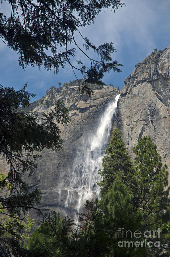 Yosemite Falls Photograph by Cindy Murphy - NightVisions