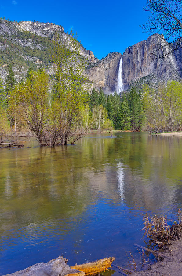 Yosemite Falls Cooks Meadow Photograph by Scott McGuire