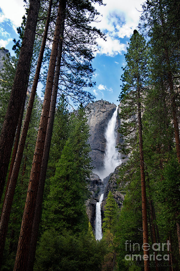 Yosemite Falls Photograph by David Arment