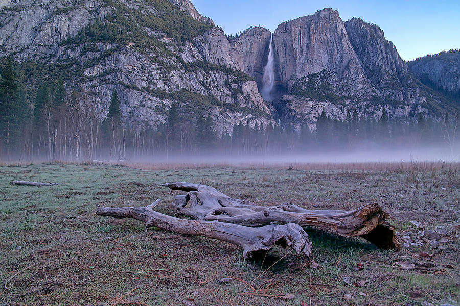 Yosemite Falls Driftwood Photograph by Harold Coleman