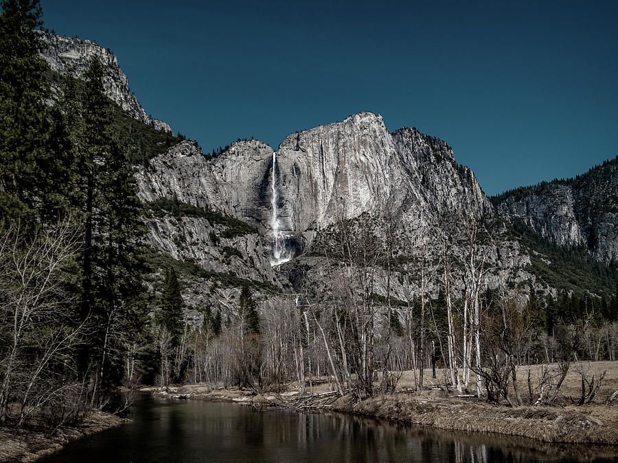 Yosemite Falls Duotone Digital Art by Bill Gallagher