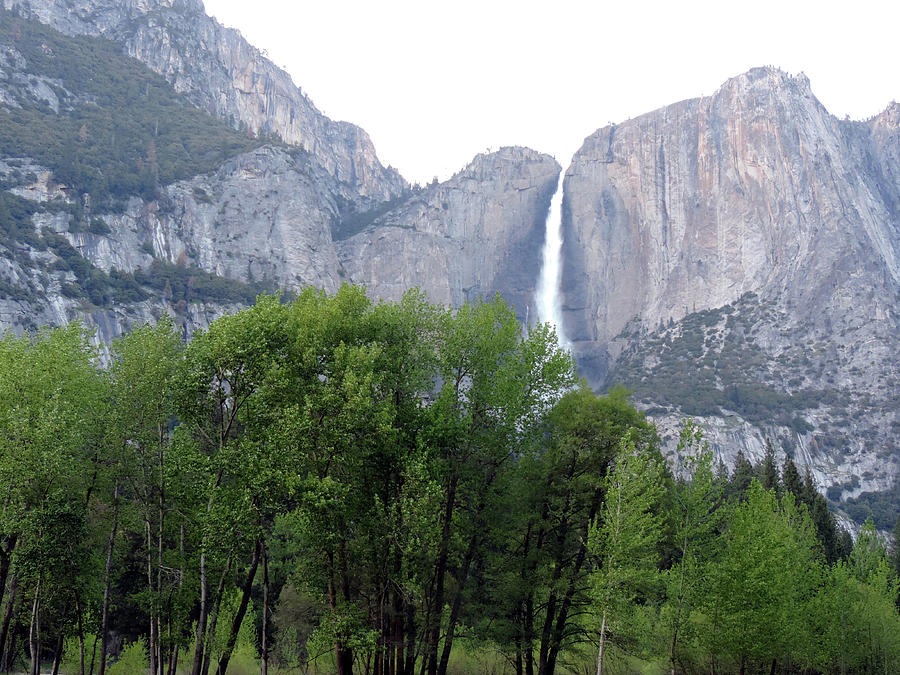 Yosemite Falls Photograph by Eric Forster