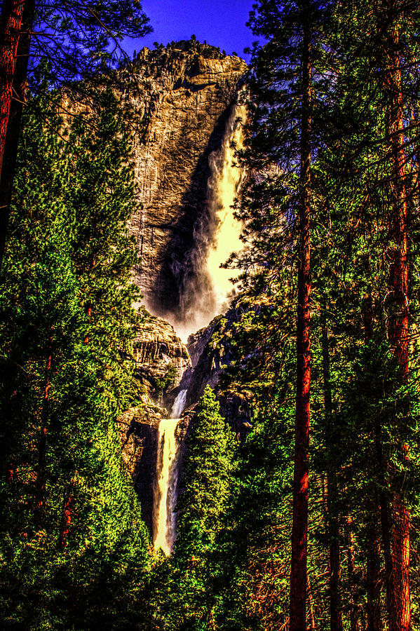 Yosemite National Park Photograph - Yosemite Falls Framed by Ponderosa Pines by Roger Passman