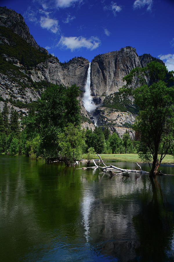 Yosemite Falls from Near Swinging Bridge Photograph by Raymond Salani III
