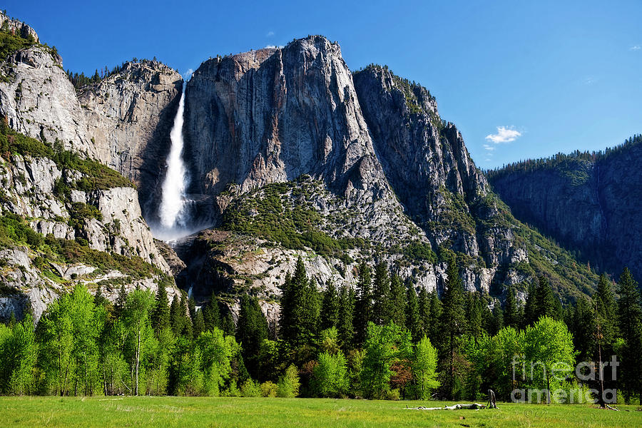 Yosemite Falls from the Valley Photograph by David Arment