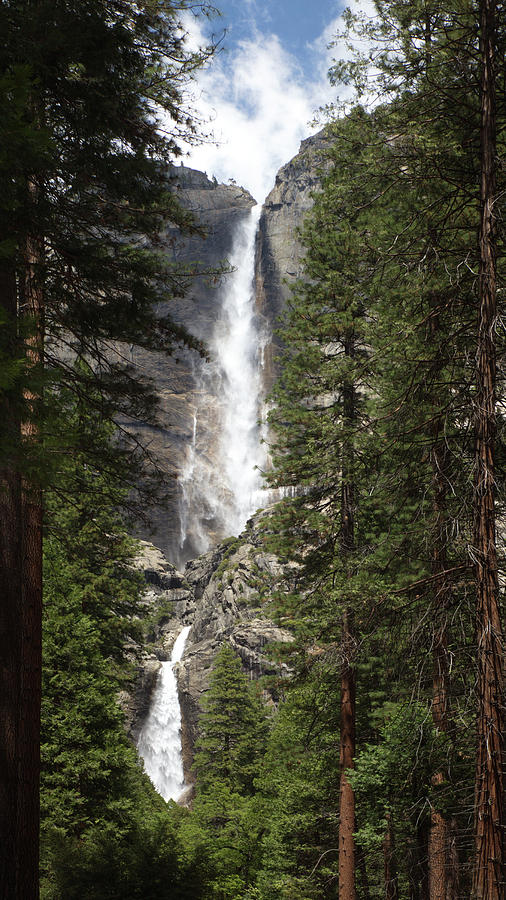 Yosemite Falls Photograph by Harold Rau