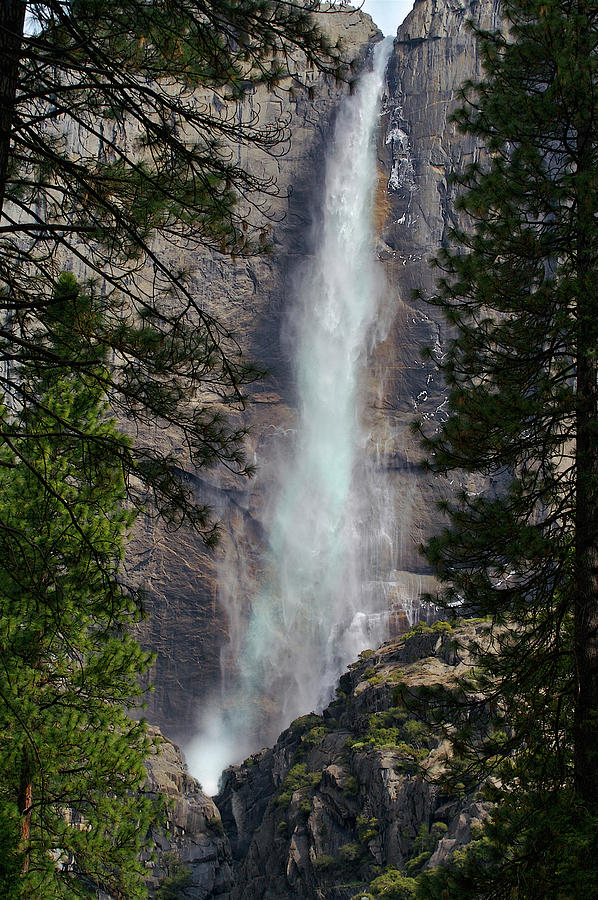 Yosemite Falls in April of 2008 Photograph by SC Heffner