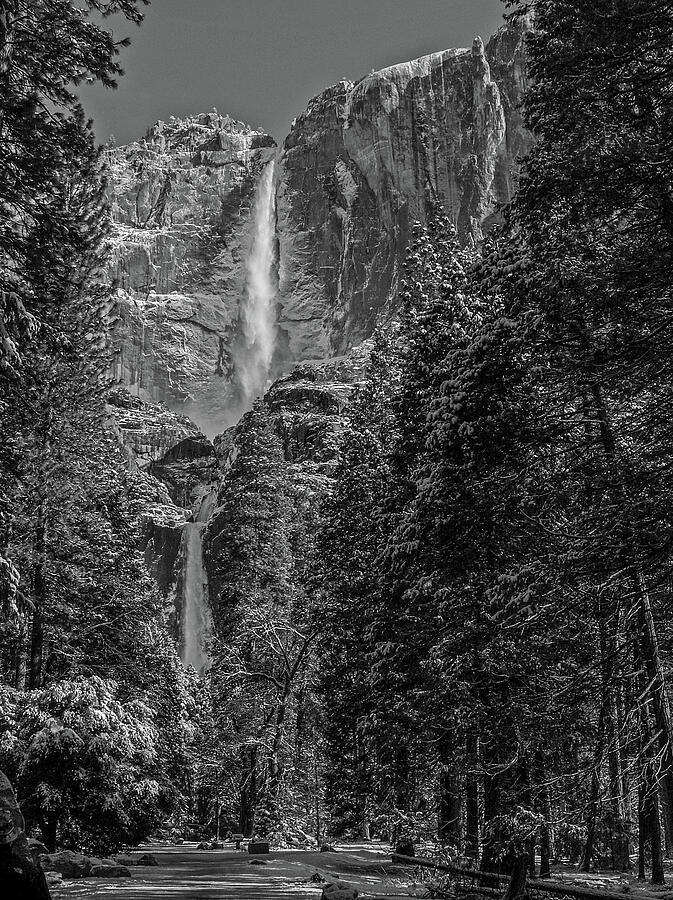 Yosemite National Park Photograph - Yosemite Falls in Black and White III by Bill Gallagher