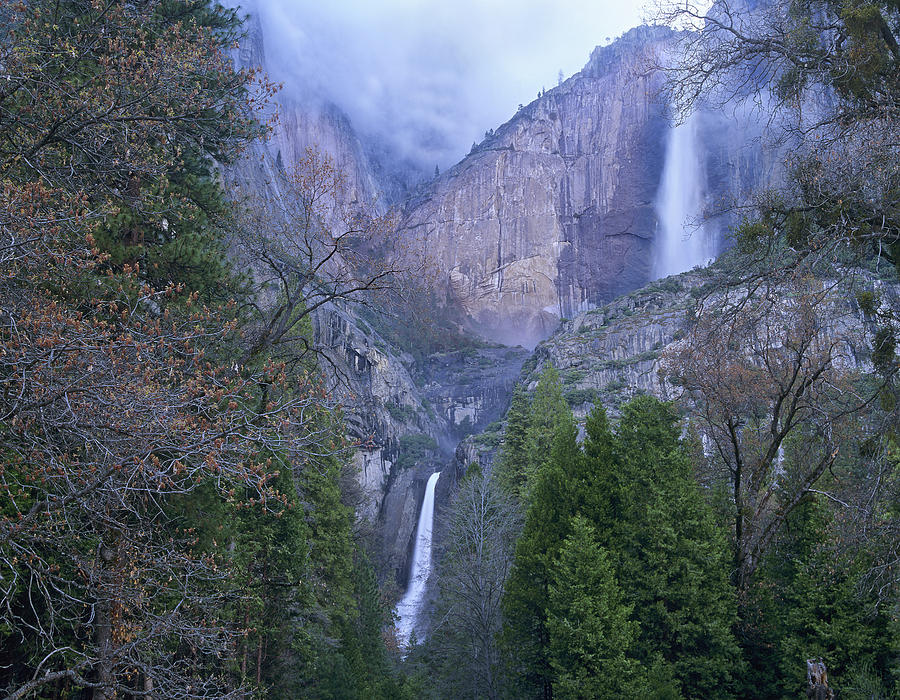 Yosemite Falls In Spring Yosemite Photograph by Tim Fitzharris