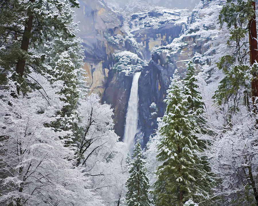 Yosemite Falls in the Snow Photograph by Gregory Scott