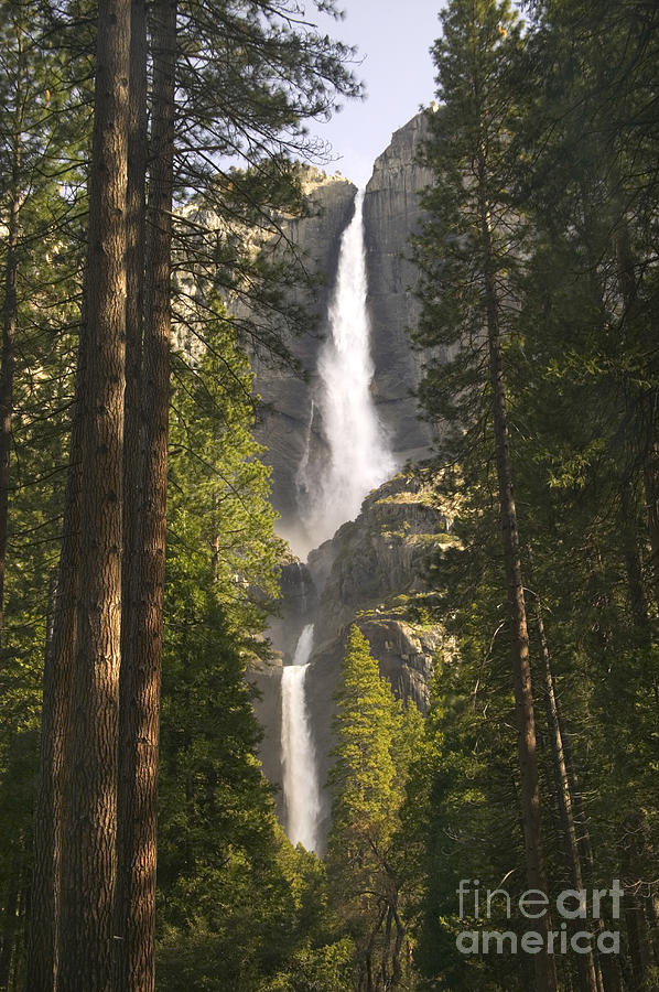 Yosemite Falls Photograph by Inga Spence