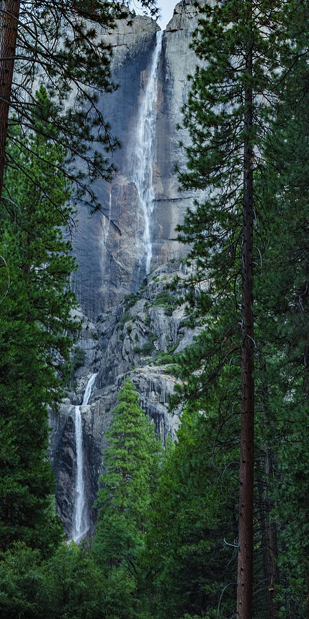 Yosemite Falls Photograph by Joe Kopp