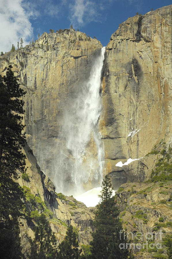 Yosemite Falls Photograph by Marc Bittan
