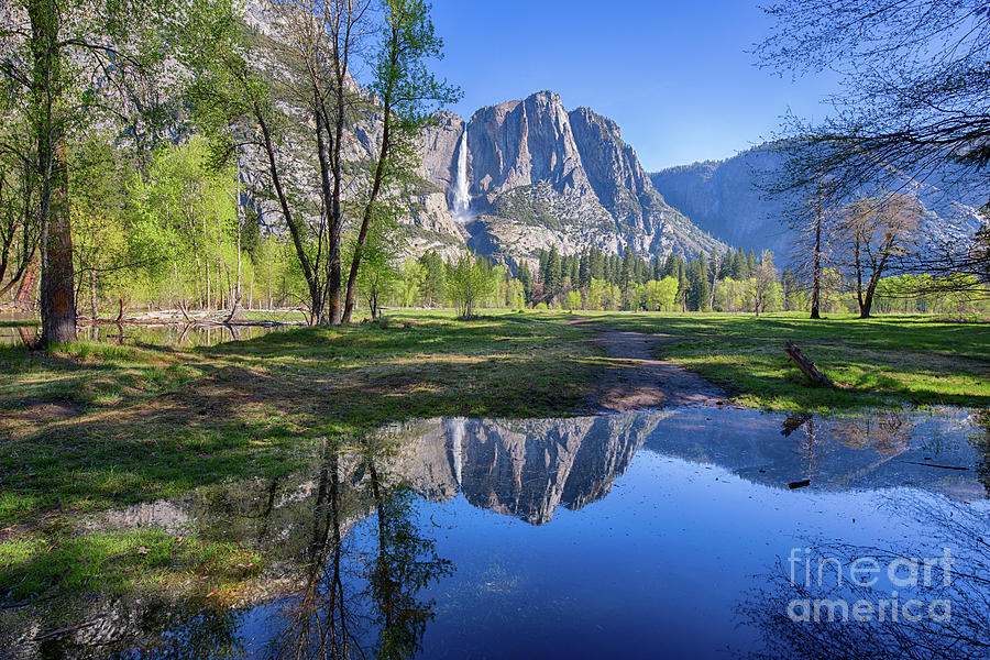 Yosemite Falls Photograph by Mimi Ditchie