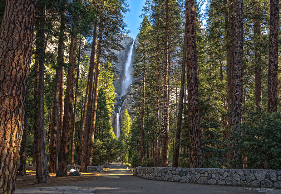 Yosemite Falls Photograph by Phil Abrams