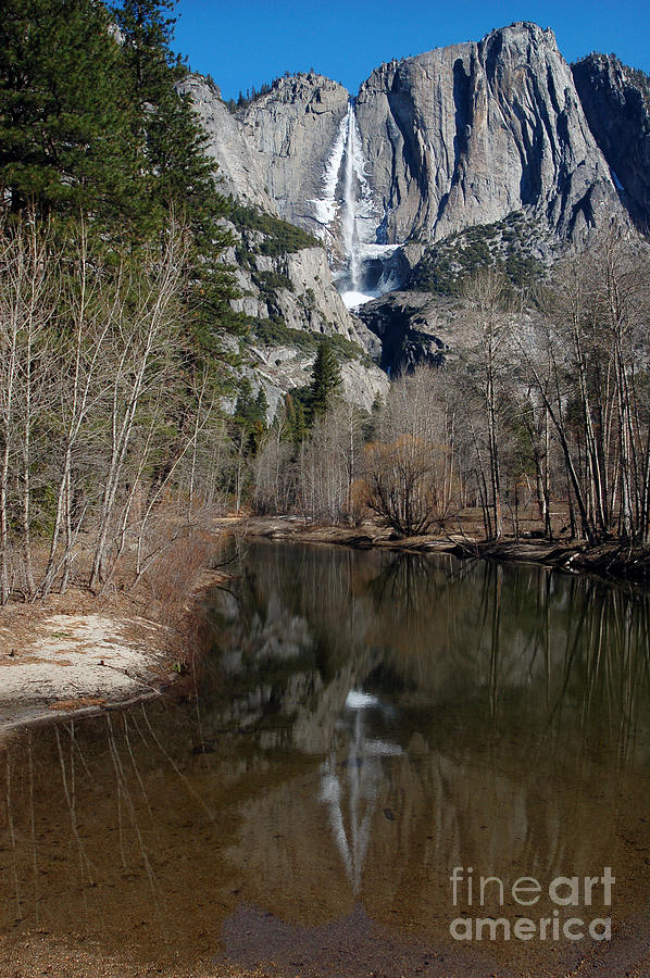 Yosemite Falls Reflection Photograph by Richard Verkuyl