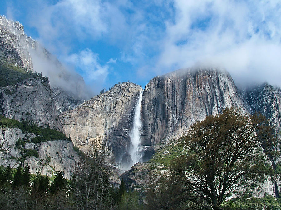 Yosemite Falls Photograph By Robert Shields - Fine Art America