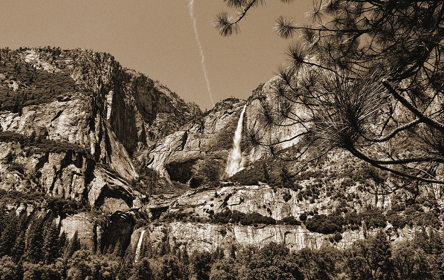 Yosemite Falls Sepia Photograph by Judy Vincent