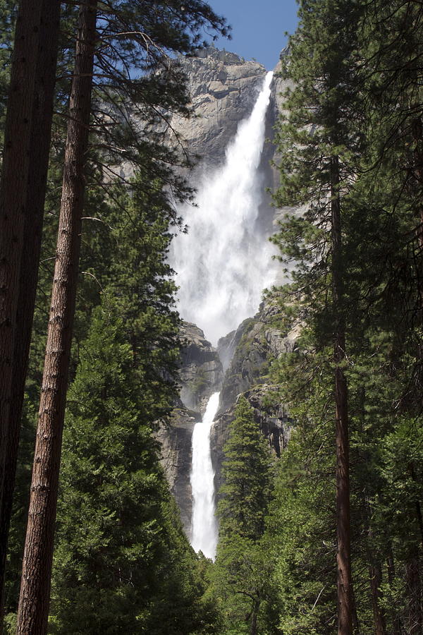 Yosemite Falls Photograph by Steven Reid | Fine Art America