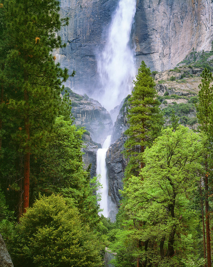 Yosemite Falls Through the Trees Photograph by Mark Miller