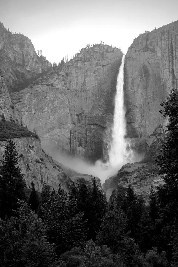 Yosemite Falls Vertical B And W Photograph by Joyce Dickens