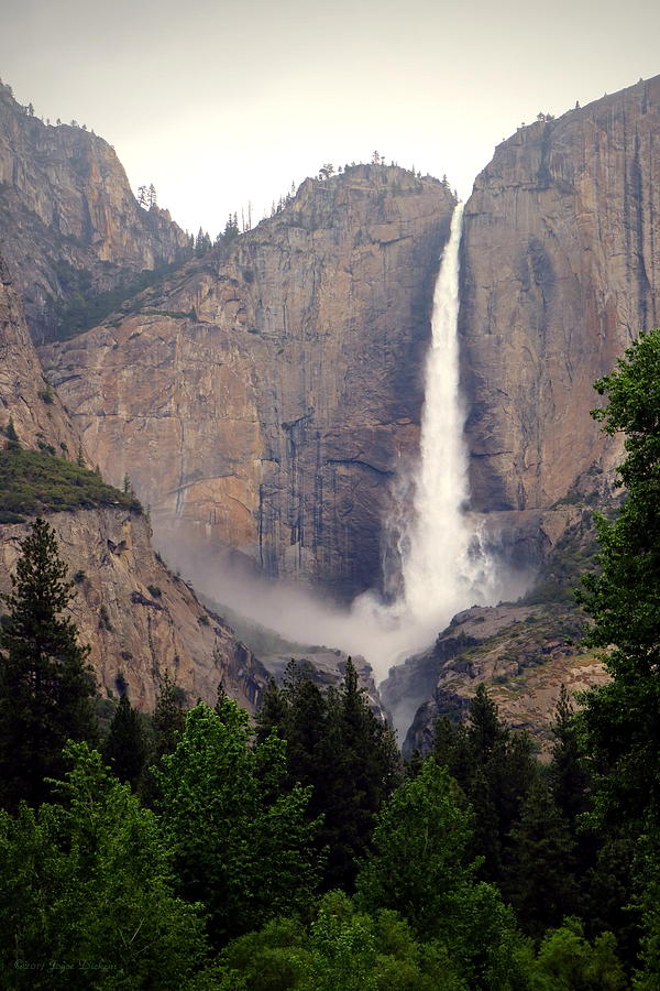 Yosemite Falls Vertical Photograph by Joyce Dickens