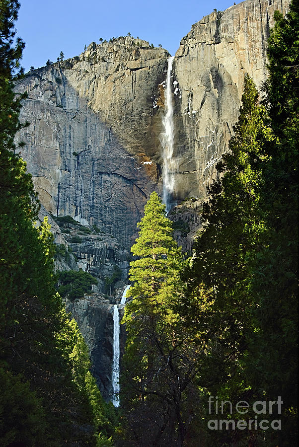 Yosemite National Park Photograph - Yosemite Falls with late afternoon light in Yosemite National Park. by Jamie Pham
