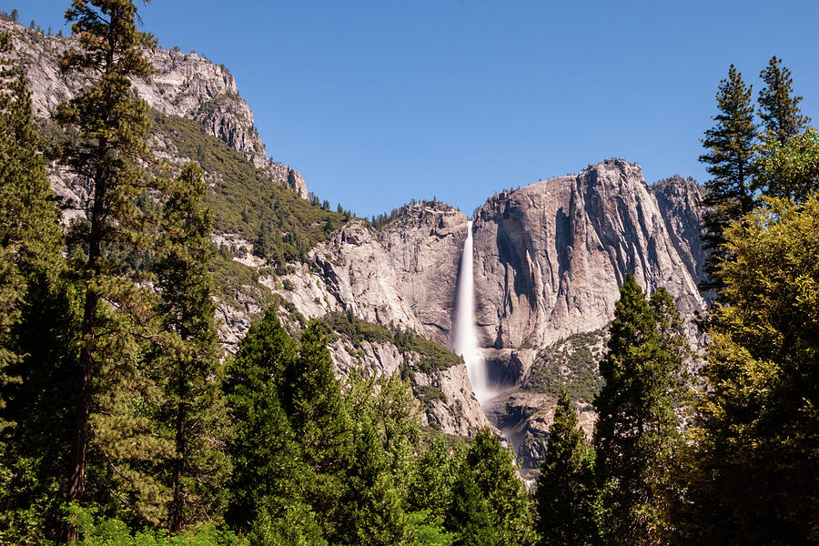 Yosemite Falls Yosemite Photograph by Dan Carmichael