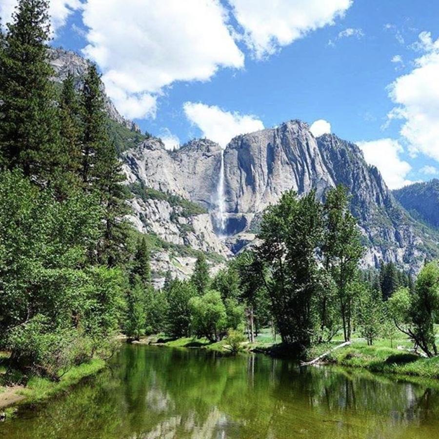 Yosemite National Park Photograph - #yosemite #findyourpark #waterfall by Patricia And Craig