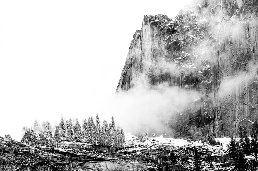 Yosemite Fog Photograph by Maria Coulson