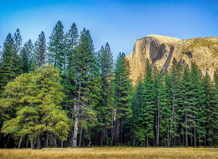 Yosemite from Below Photograph by Rikk Flohr