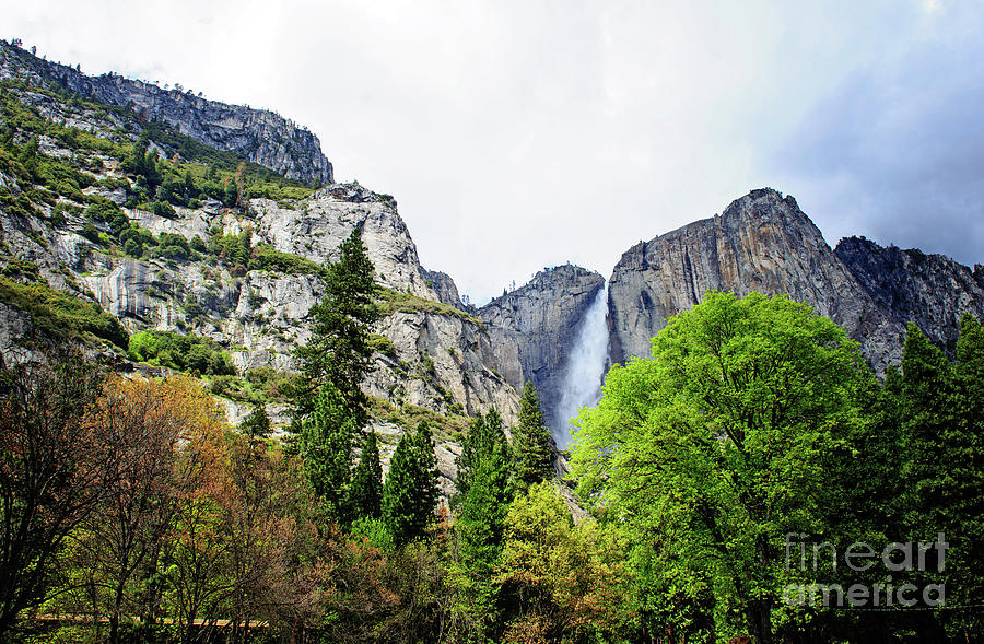 Yosemite Glory Photograph