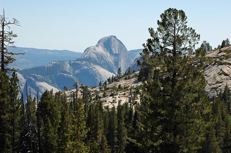 Yosemite National Park Photograph - Yosemite Half Dome 2 by LeeAnn McLaneGoetz McLaneGoetzStudioLLCcom