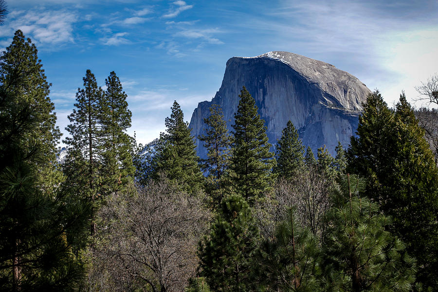 Yosemite Half Dome Photograph by Adam Rainoff