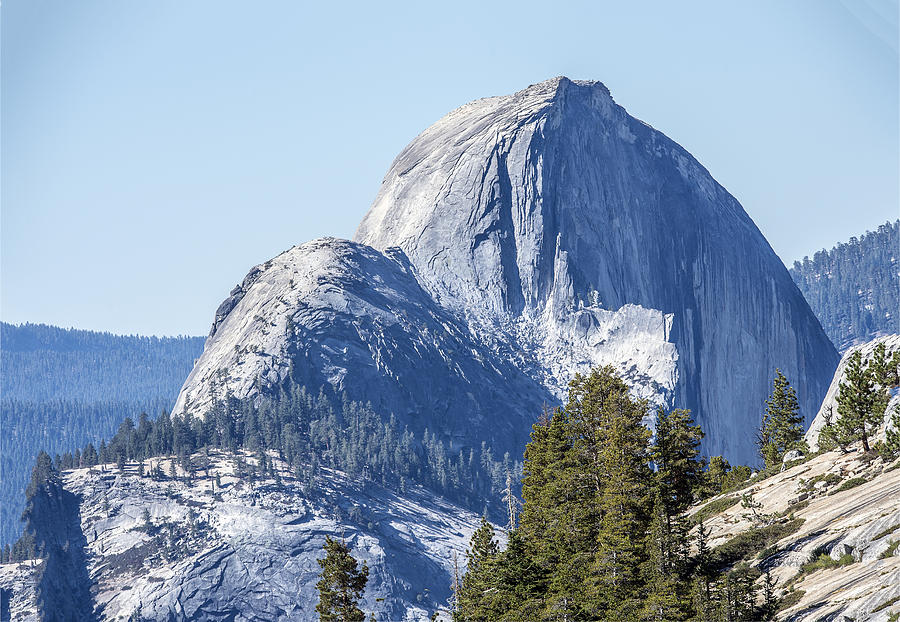 Yosemite Half Dome Northwest Face Photograph by William Bitman
