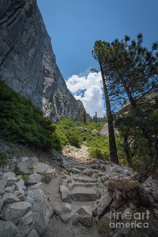 Yosemite Hiking Trail  Photograph by Michael Ver Sprill
