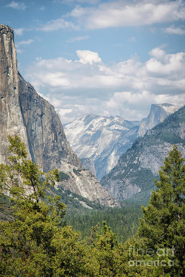 Yosemite in May Photograph by Sylvia Sanchez - Fine Art America