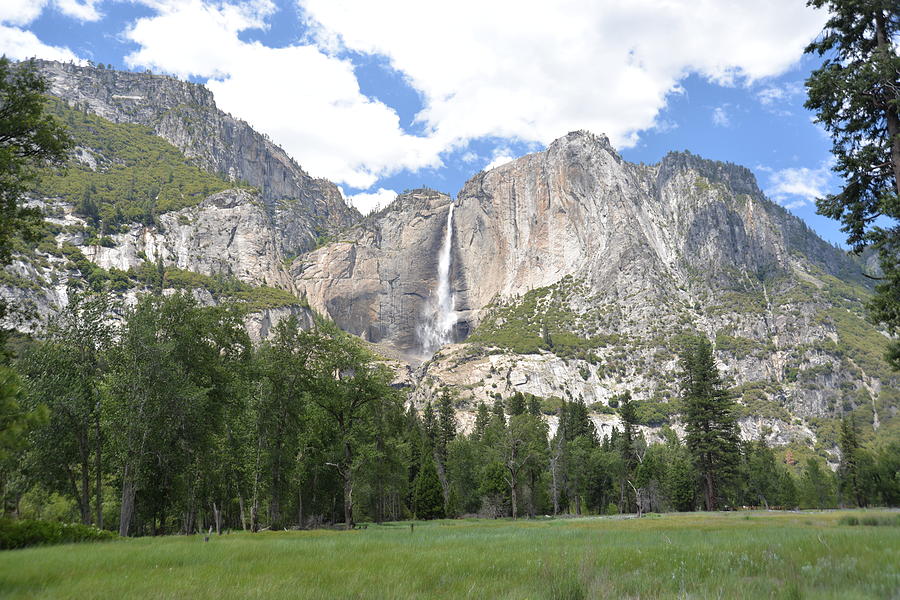 Yosemite in Summer Photograph by Karen Thysen - Fine Art America