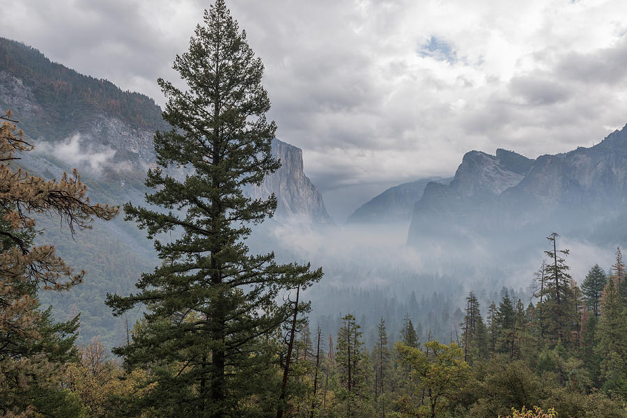 Yosemite Photograph by John Johnson