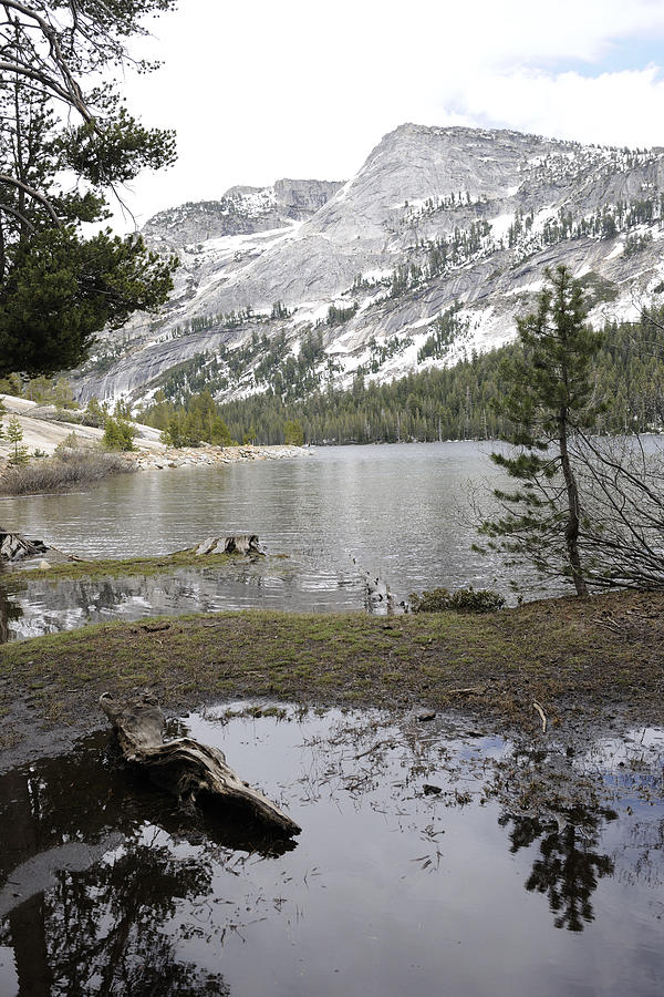 Yosemite Lake Reflections Photograph by Harold Piskiel
