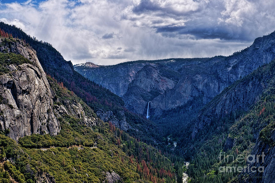 Yosemite Landscape Photograph by David Arment