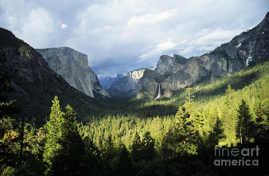 Yosemite Landscape Photograph by Peter French - Printscapes