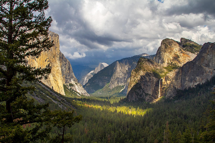 Yosemite Last Light Photograph by Jeannie Meyer - Pixels