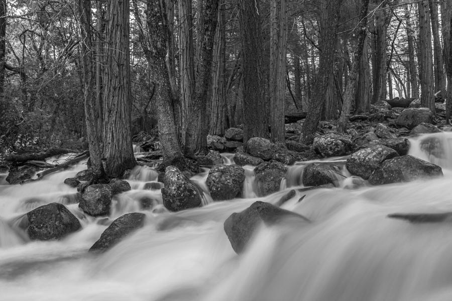 Yosemite Long Exposure River Black and White  Photograph by John McGraw