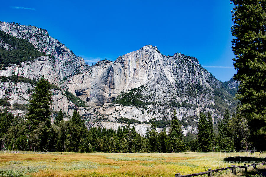 Yosemite Meadow 1 Photograph by Dan Norton