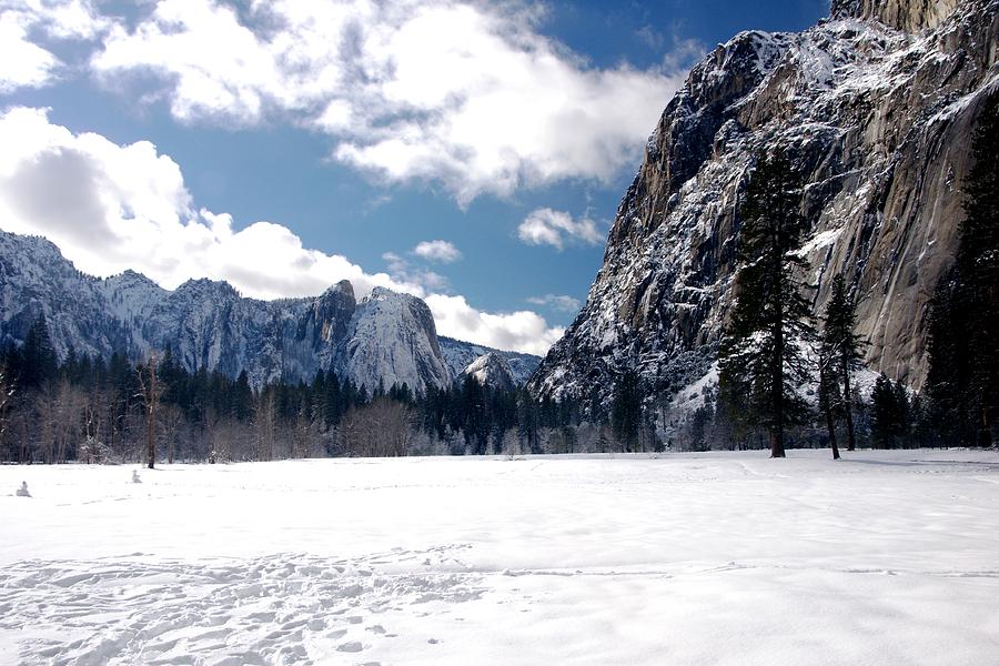 Yosemite National Park Photograph - Yosemite meadow in winter by Michael Courtney