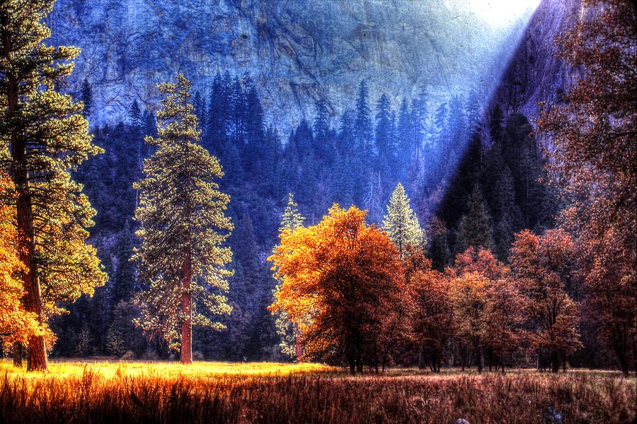 Yosemite Meadow Late Afternoon Photograph by Bill Mollet - Fine Art America