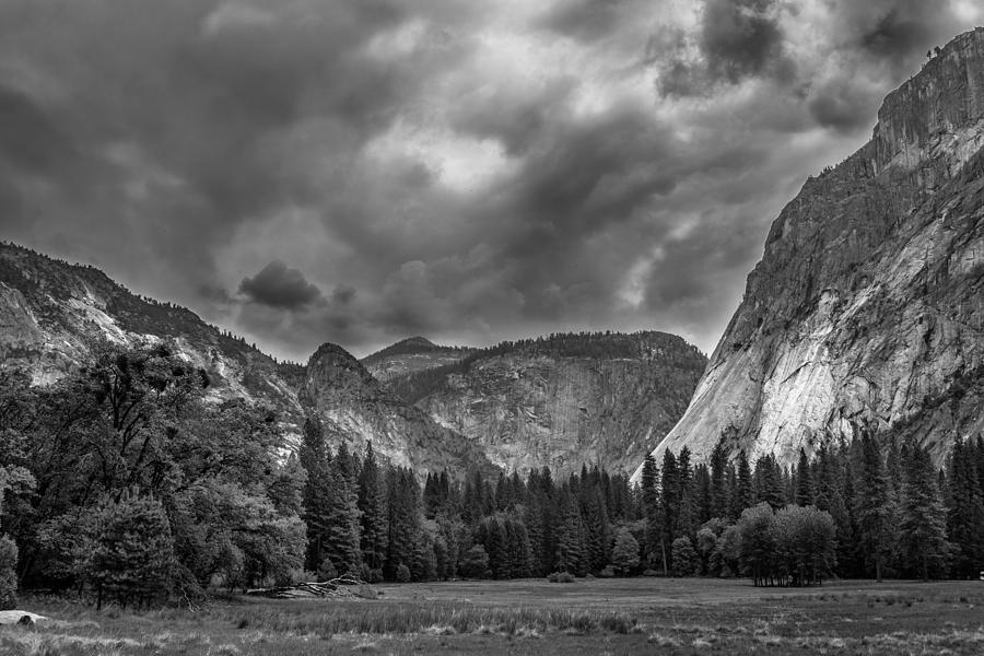 Yosemite Meadows Photograph by Christopher Perez
