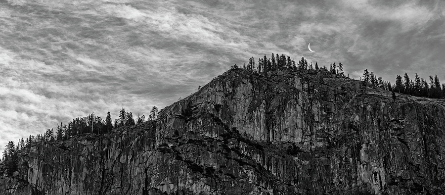 Yosemite Moon - Black and White Photograph by Loree Johnson