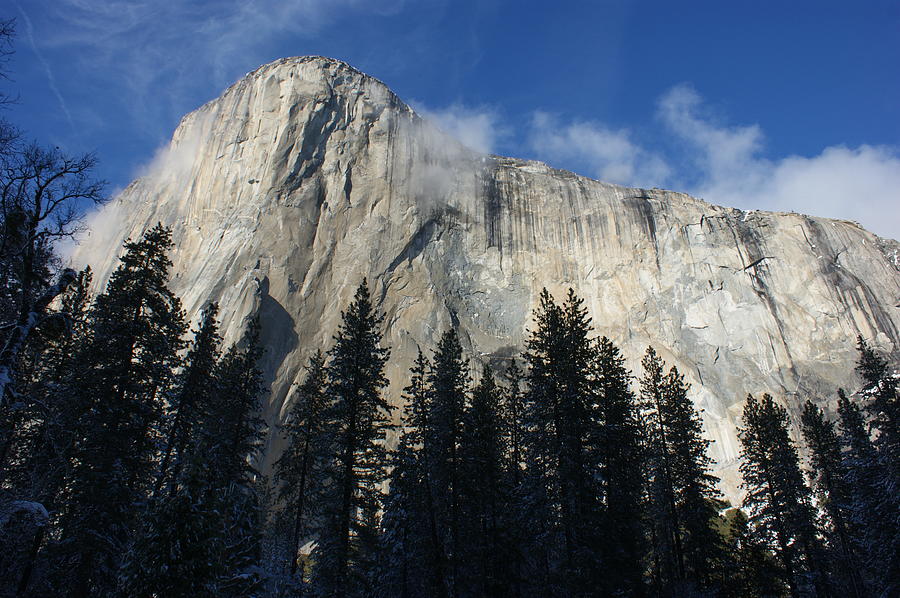 Yosemite Mountainside Photograph by Christine Jepsen